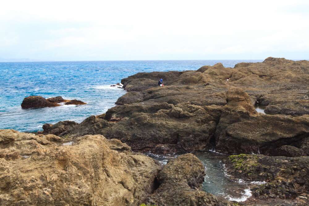 Maritime Ecological Tours