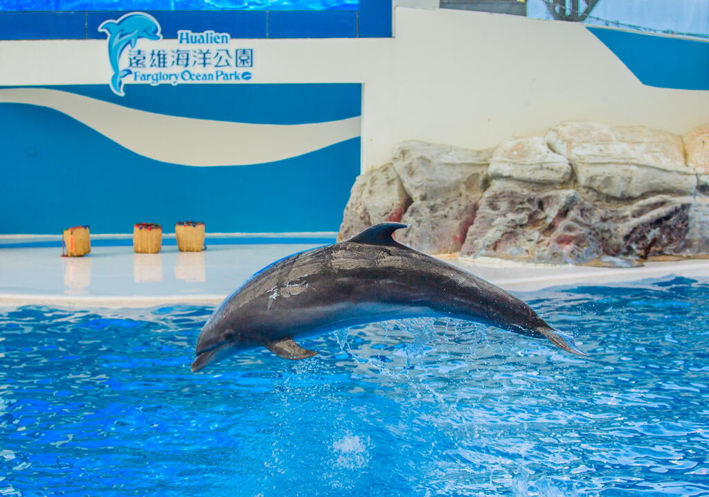 10313494_調整大小