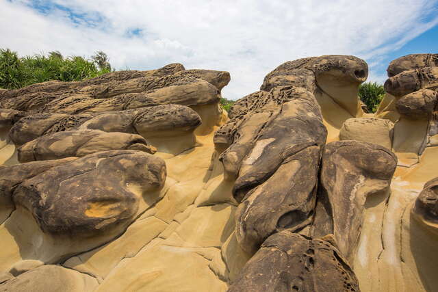 富岡地質公園 (小野柳) 蕈狀岩