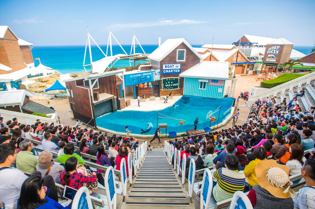親子冒險日：海洋公園一日遊